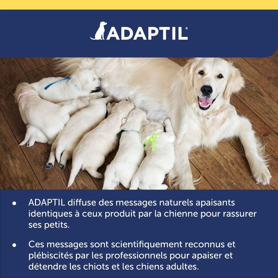ADAPTIL Transport Spray 20ml - Anti-Stress pour Chien, Voyage, Education, Dressage