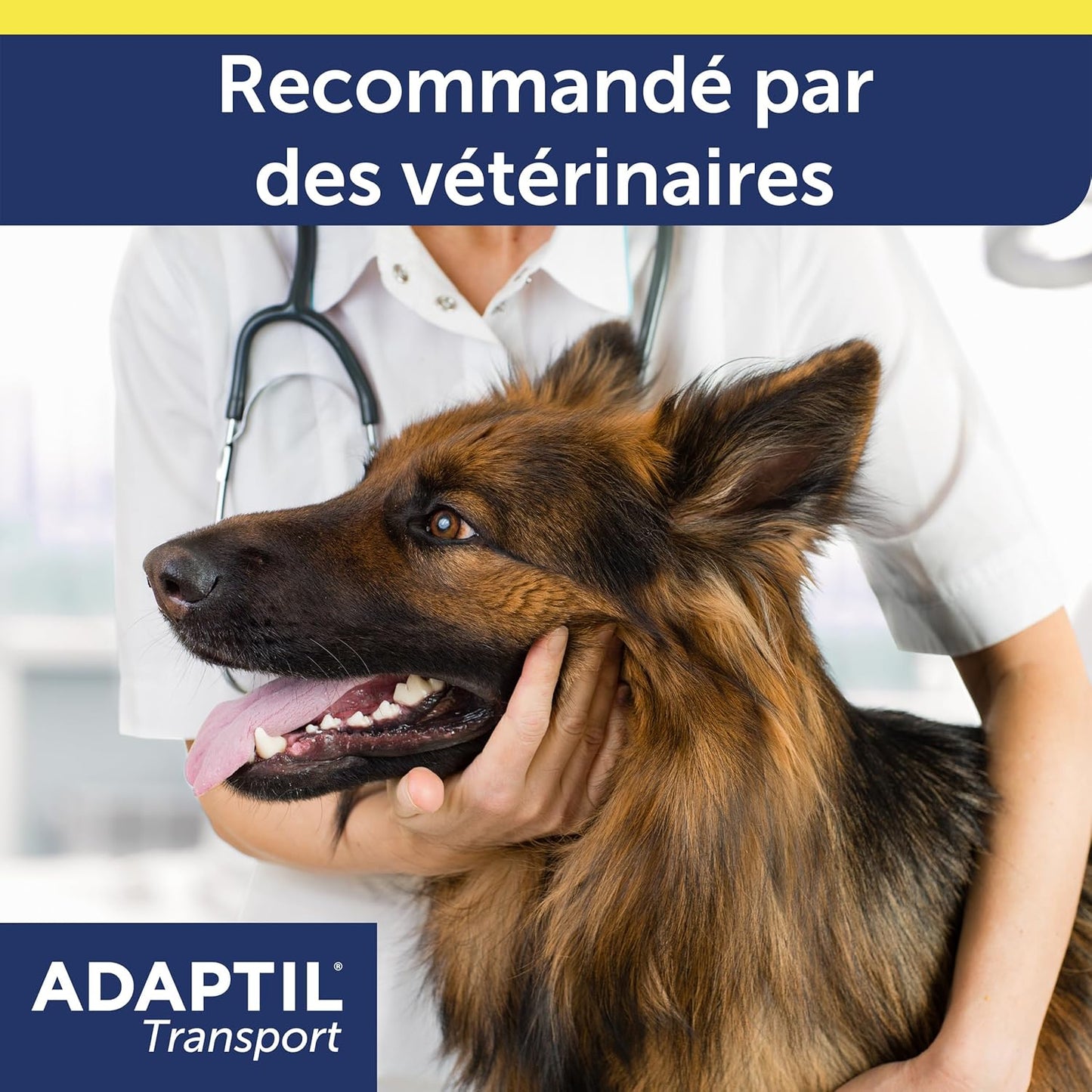 ADAPTIL Transport Spray 20ml - Anti-Stress pour Chien, Voyage, Education, Dressage